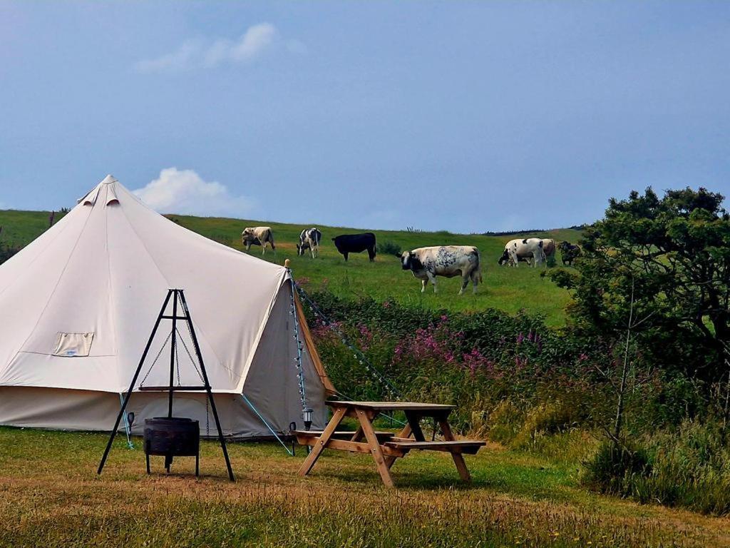 Beautiful 1-Bed Bell Tent In هوليهيد المظهر الخارجي الصورة